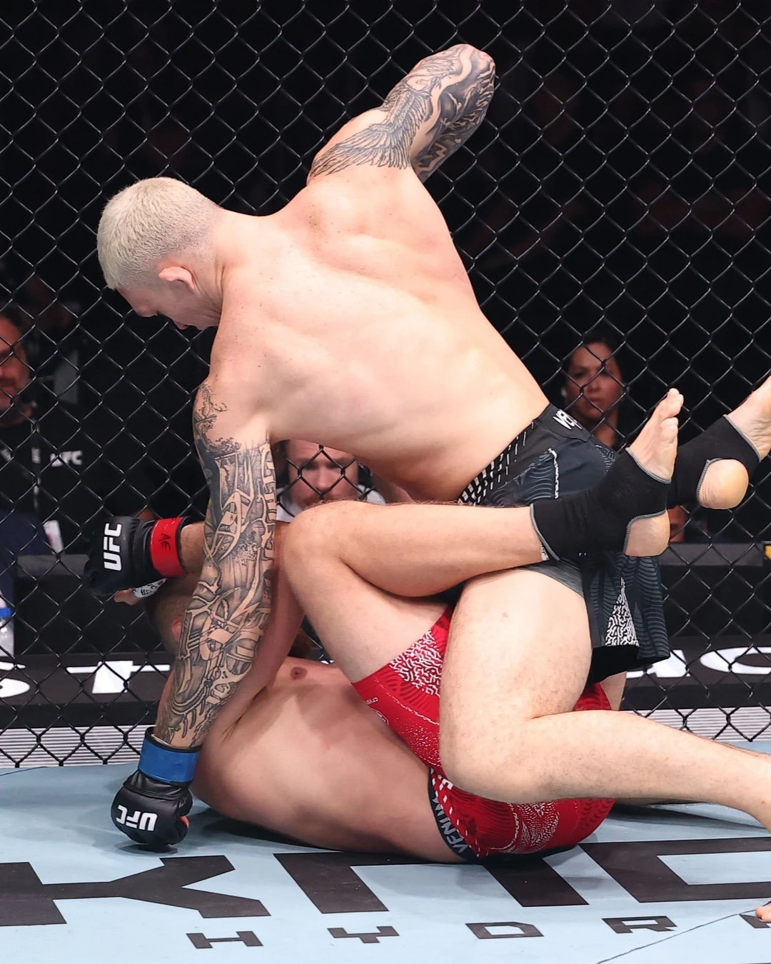 Момент технического нокаута в со-главном бою UFC Fight Night 283 между Навахо Стирлингом и Ян Блаховичем / Фото: UFC