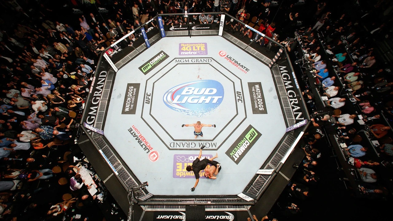 Фото: PRO FIGHT SHOP