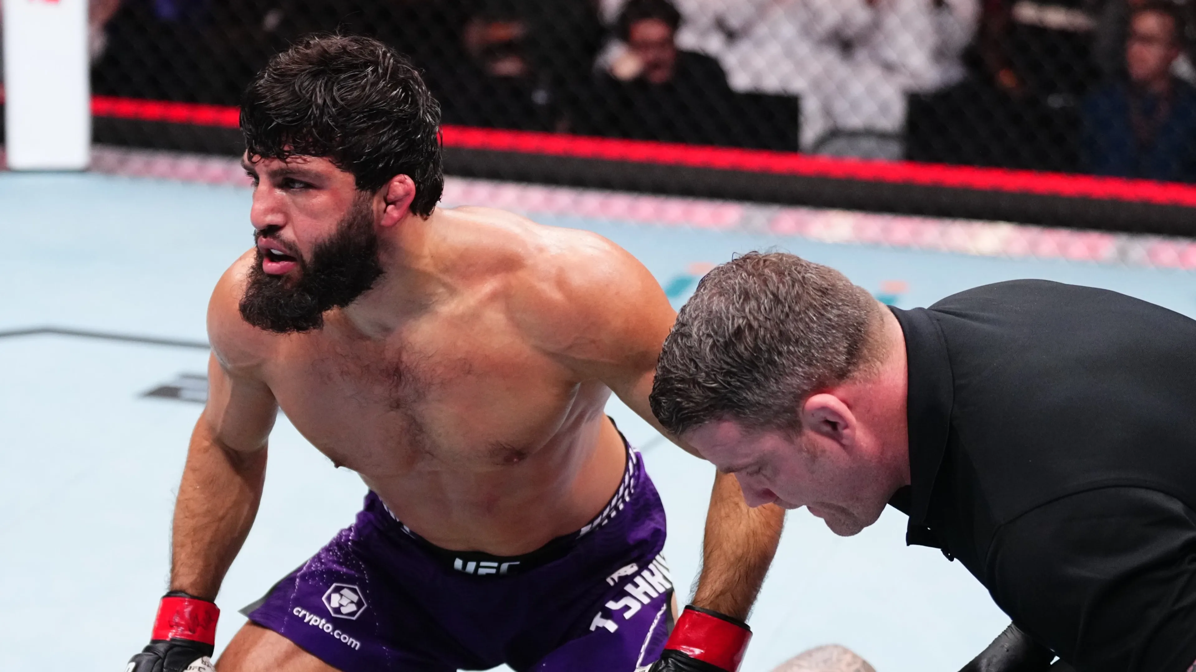 Фото: UFC